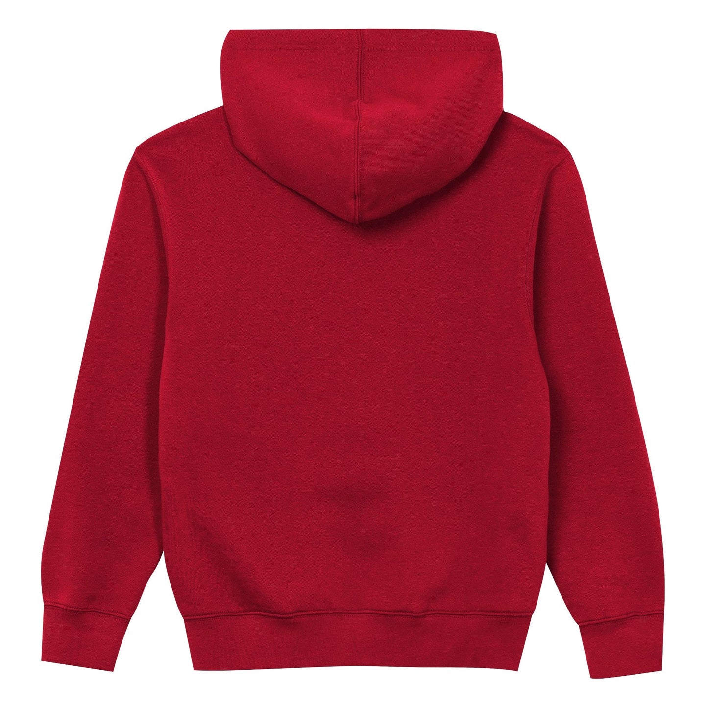 San Francisco 49ers Youth Back to Basics Red Hoodie